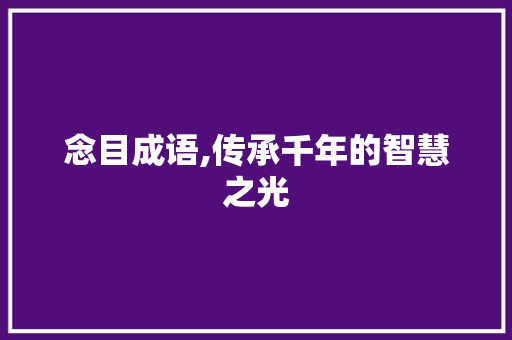 念目成语,传承千年的智慧之光