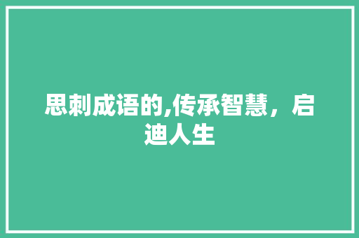 思刺成语的,传承智慧，启迪人生 近义词汇