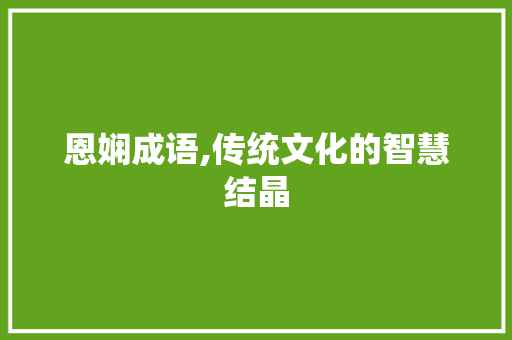 恩娴成语,传统文化的智慧结晶