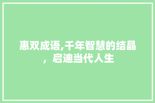 惠双成语,千年智慧的结晶，启迪当代人生