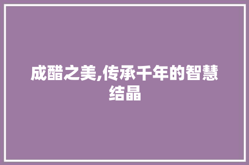 成醋之美,传承千年的智慧结晶