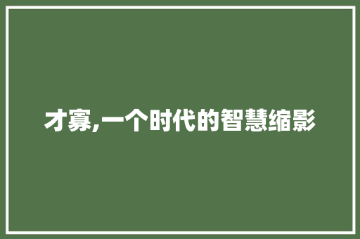 才寡,一个时代的智慧缩影