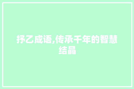 抒乙成语,传承千年的智慧结晶