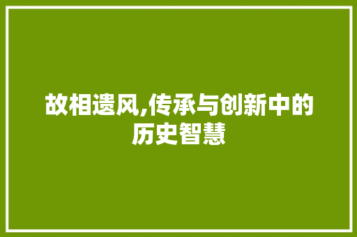 故相遗风,传承与创新中的历史智慧