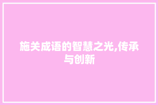 施关成语的智慧之光,传承与创新