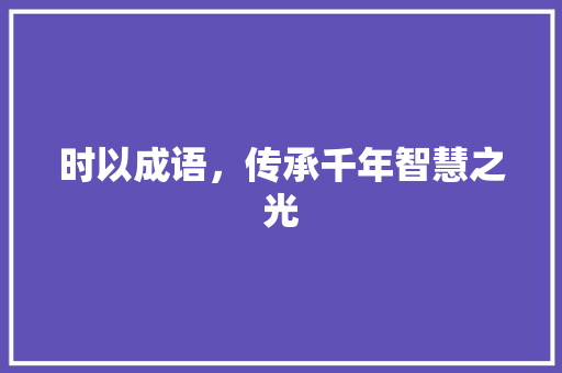 时以成语，传承千年智慧之光