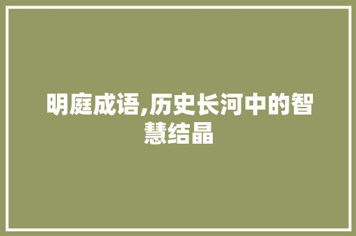 明庭成语,历史长河中的智慧结晶