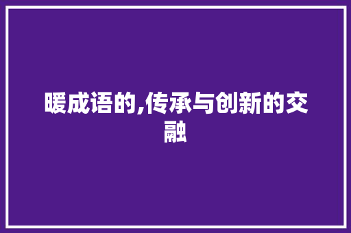 暖成语的,传承与创新的交融
