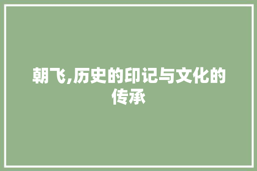 朝飞,历史的印记与文化的传承