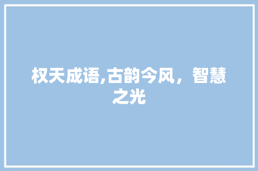 权天成语,古韵今风，智慧之光