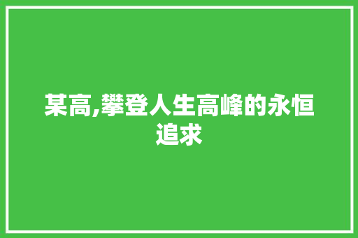 某高,攀登人生高峰的永恒追求