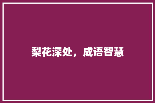 梨花深处，成语智慧