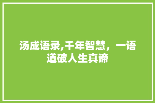 汤成语录,千年智慧，一语道破人生真谛