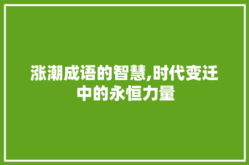 涨潮成语的智慧,时代变迁中的永恒力量