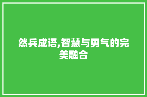 然兵成语,智慧与勇气的完美融合