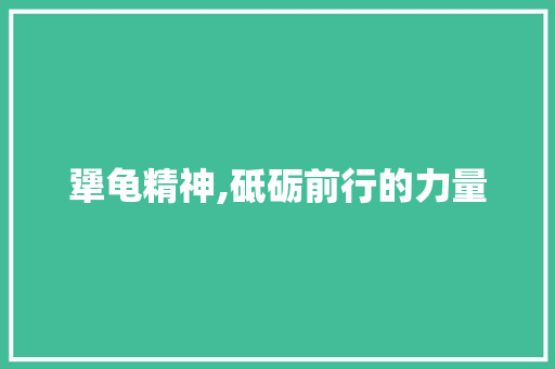 犟龟精神,砥砺前行的力量