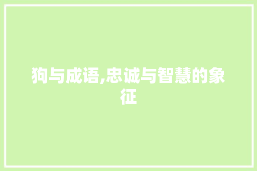 狗与成语,忠诚与智慧的象征
