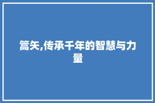 篙矢,传承千年的智慧与力量