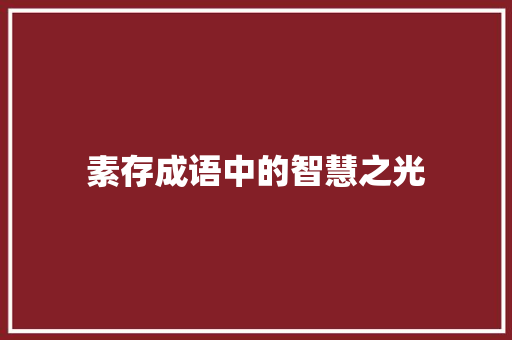 素存成语中的智慧之光