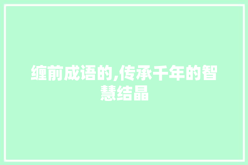 缠前成语的,传承千年的智慧结晶