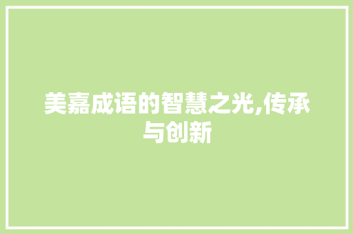美嘉成语的智慧之光,传承与创新