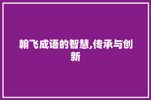 翰飞成语的智慧,传承与创新