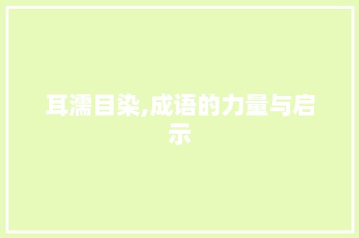 耳濡目染,成语的力量与启示