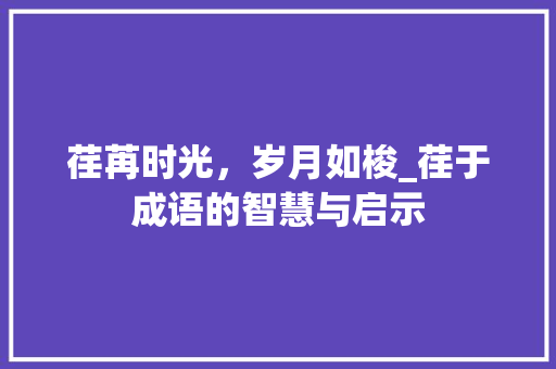荏苒时光，岁月如梭_荏于成语的智慧与启示