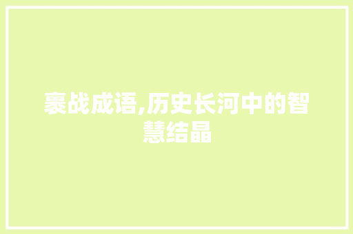 裹战成语,历史长河中的智慧结晶