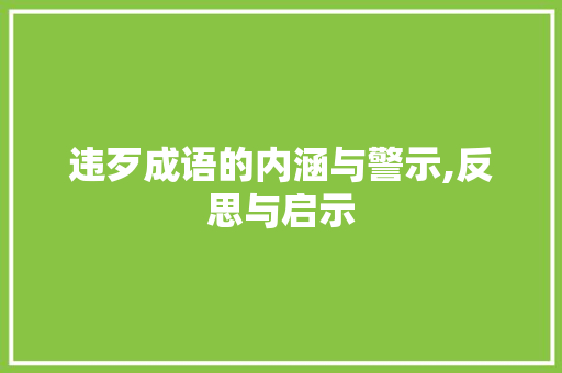 违歹成语的内涵与警示,反思与启示