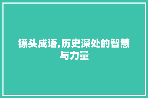 镖头成语,历史深处的智慧与力量