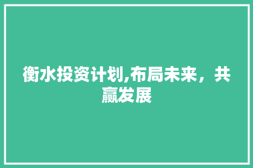 衡水投资计划,布局未来，共赢发展