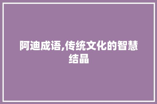 阿迪成语,传统文化的智慧结晶