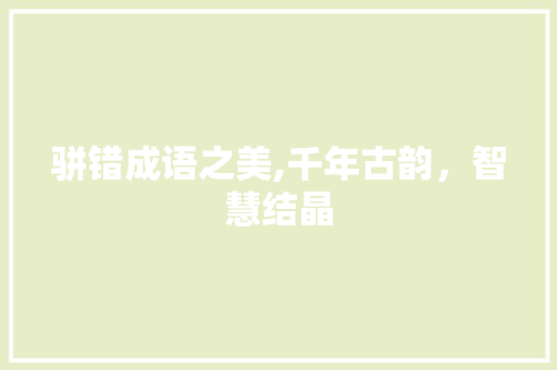 骈错成语之美,千年古韵，智慧结晶