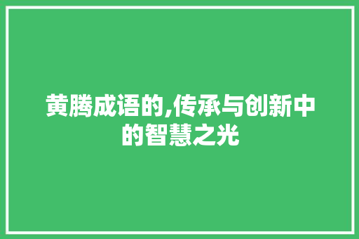 黄腾成语的,传承与创新中的智慧之光