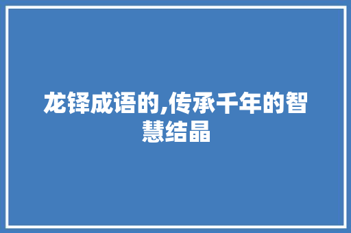 龙铎成语的,传承千年的智慧结晶