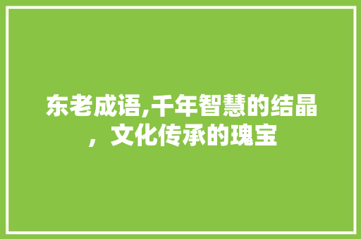 东老成语,千年智慧的结晶，文化传承的瑰宝 成语汇编
