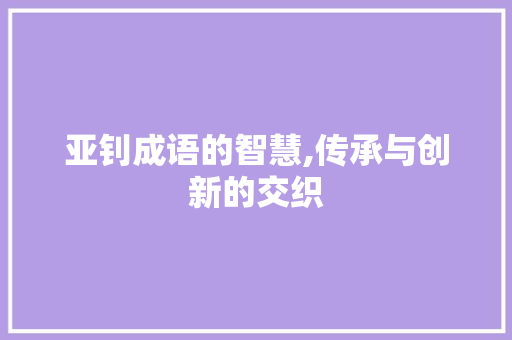 亚钊成语的智慧,传承与创新的交织 汉字拼音