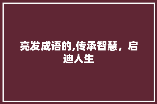 亮发成语的,传承智慧，启迪人生 反义词汇