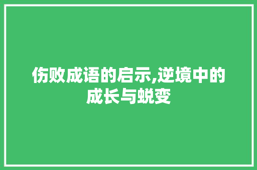 伤败成语的启示,逆境中的成长与蜕变
