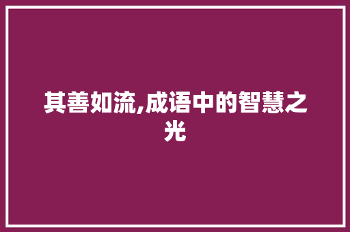 其善如流,成语中的智慧之光