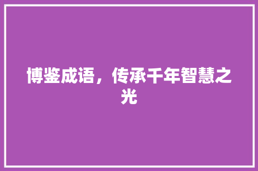 博鉴成语，传承千年智慧之光
