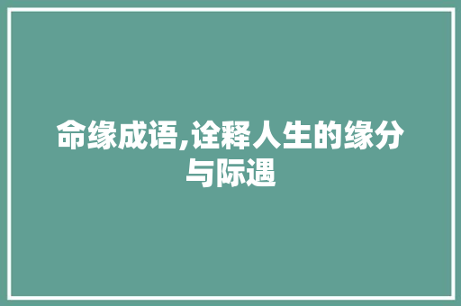 命缘成语,诠释人生的缘分与际遇