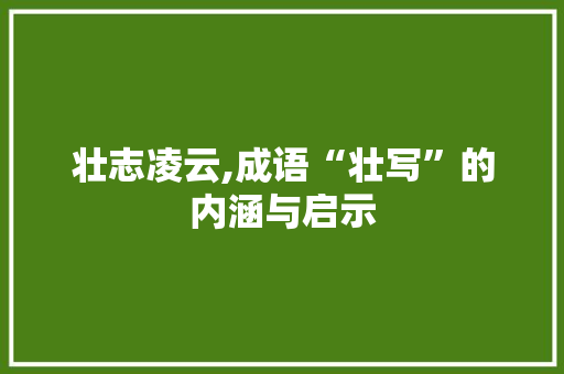 壮志凌云,成语“壮写”的内涵与启示
