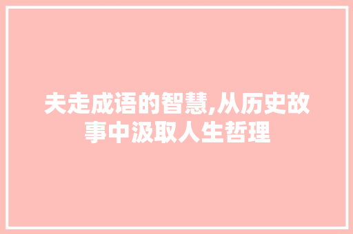 夫走成语的智慧,从历史故事中汲取人生哲理