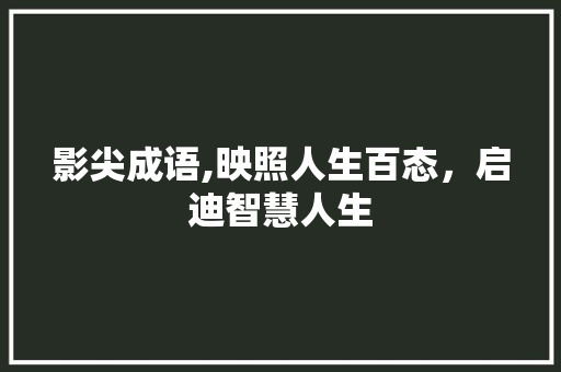 影尖成语,映照人生百态，启迪智慧人生