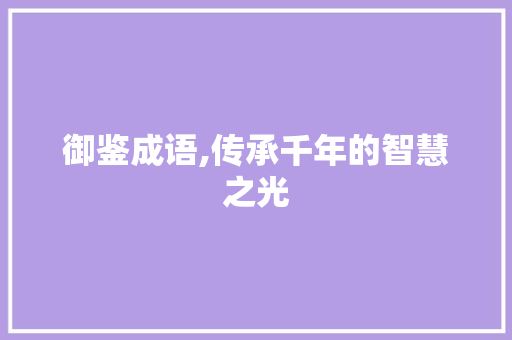 御鉴成语,传承千年的智慧之光