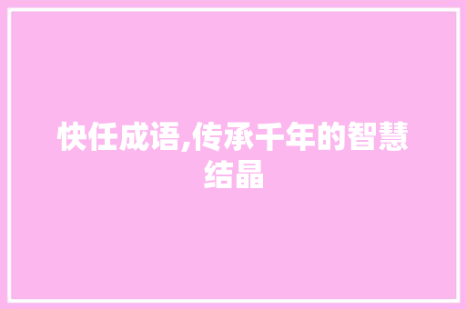 快任成语,传承千年的智慧结晶