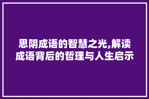 思阴成语的智慧之光,解读成语背后的哲理与人生启示