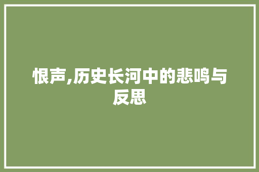 恨声,历史长河中的悲鸣与反思